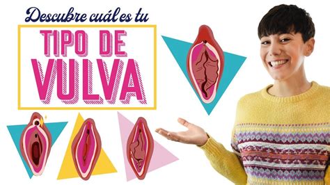 Los tipos de vulvas que hay y su anatomía